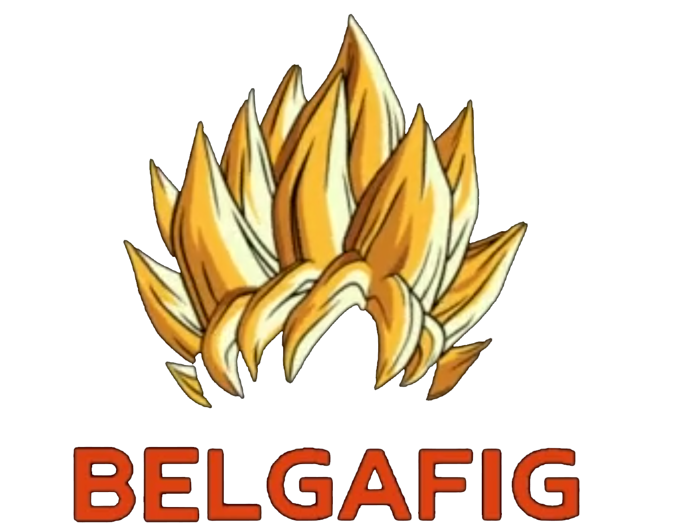BelgaFig Blog